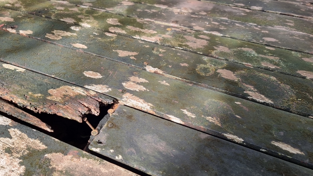 How Does Dry Rot Affect Your Home’s Resale Value? Discover the Impact on Property Sales