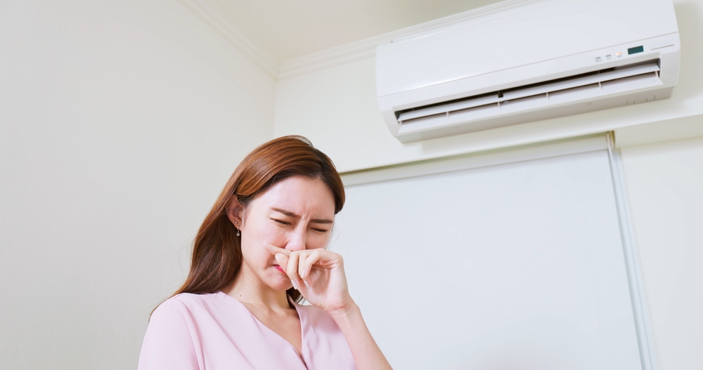 How to Get Rid of Mildew Smell