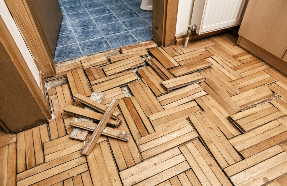 What Does Water Damage Look Like? The Signs of Water Damage
