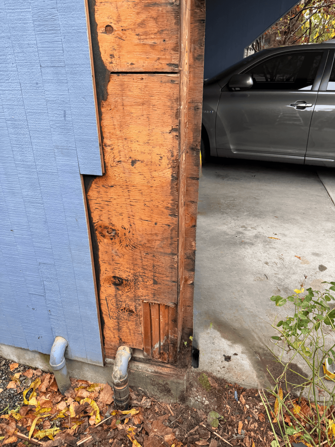 Seattle, WA — Siding Renovation photo 4