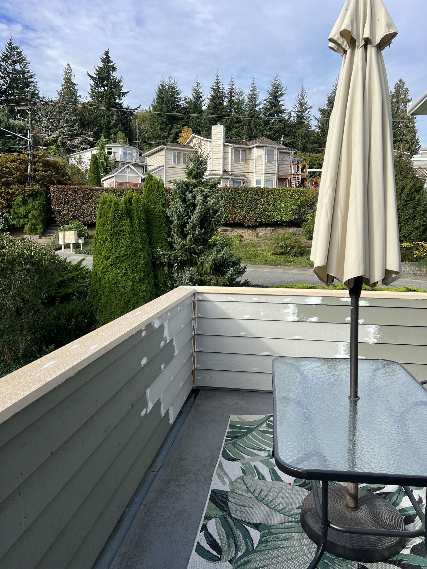South Everett, WA — Frame & Siding photo 6