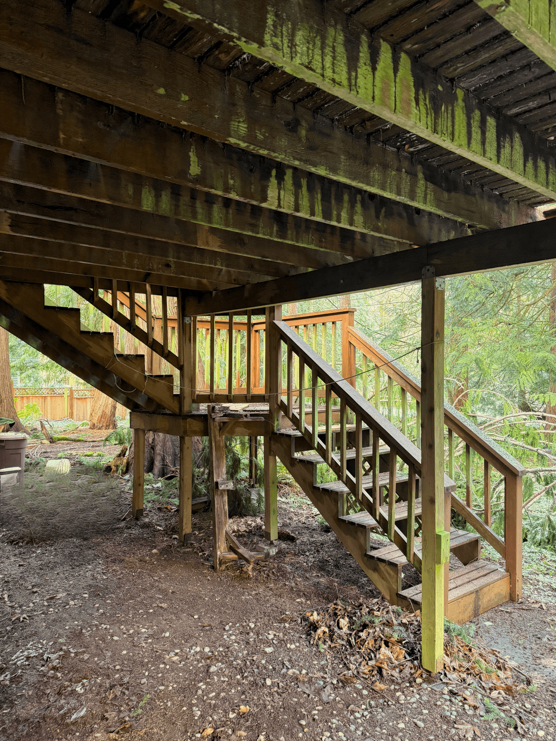 Sammamish, WA — Deck Renovation photo 3
