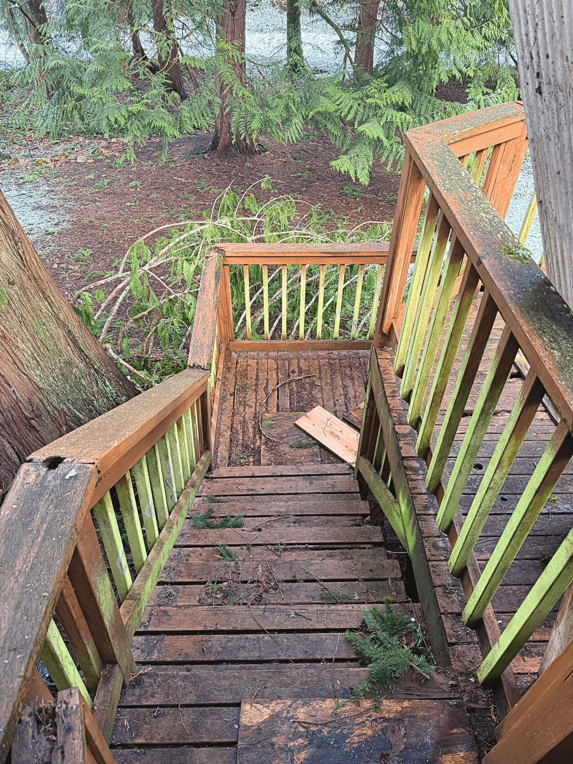 Sammamish, WA — Deck Renovation photo 5