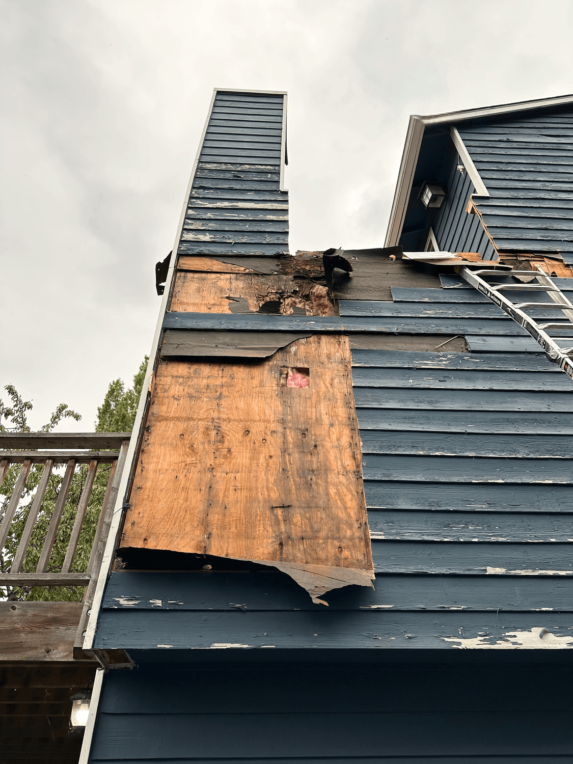 North Seattle — Siding Renovation photo 7