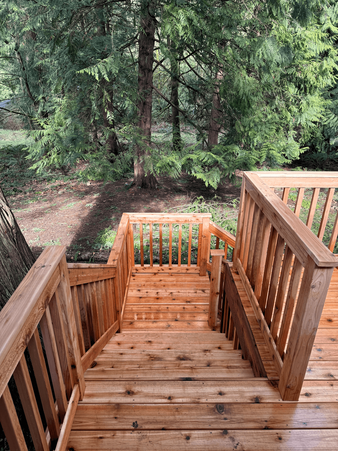 Sammamish, WA — Deck Renovation photo 2